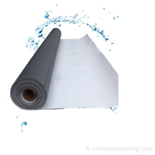 TPO Roof Smooth Version Single Ply Roofing Membrane